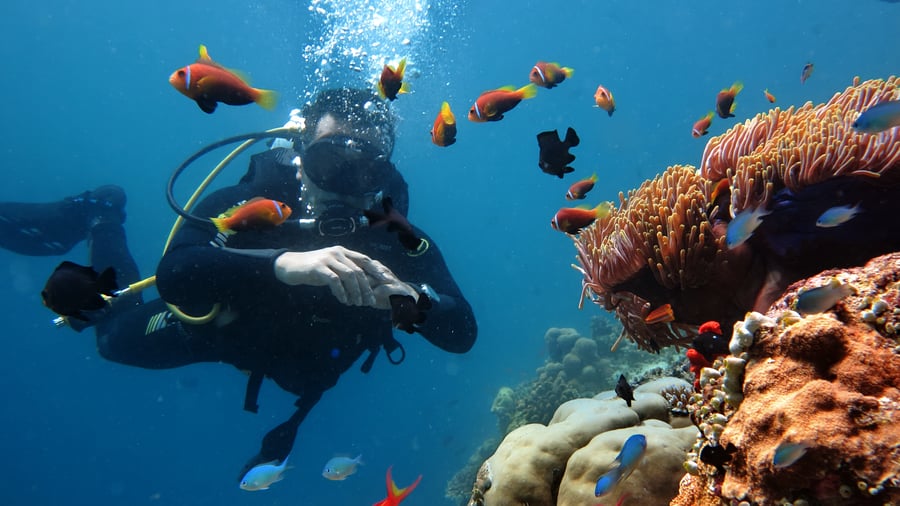 Diving