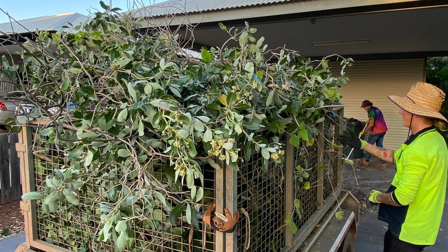 Werken op een boerderij in Australië.