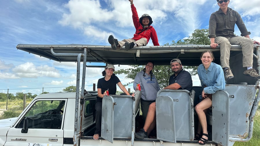 Safari car
