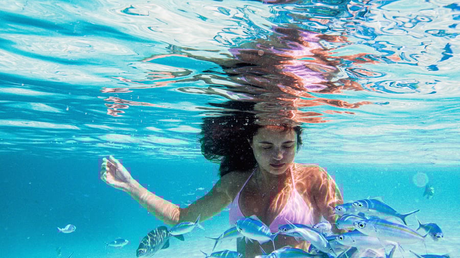 Oplev verdenen i lagunen