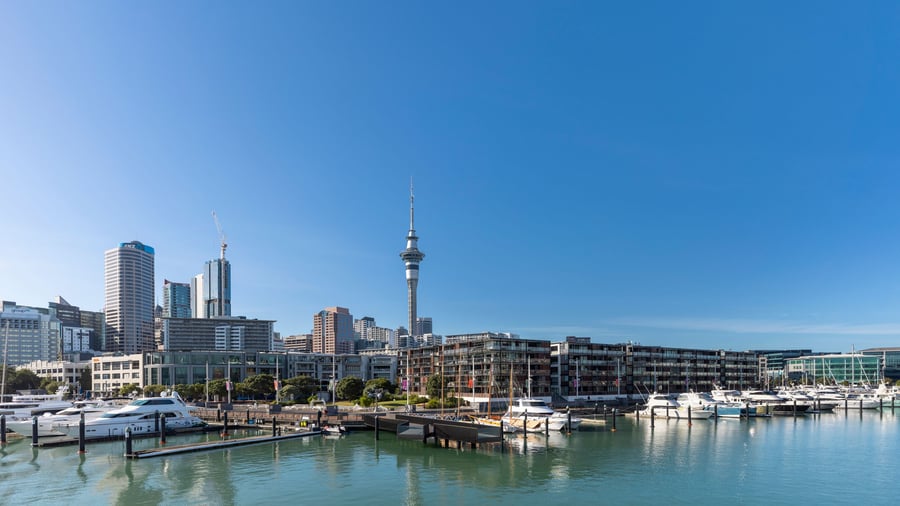 Aucklands skyline
