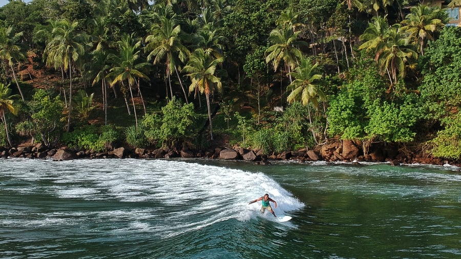 Surf op de beste golven in Costa Rica