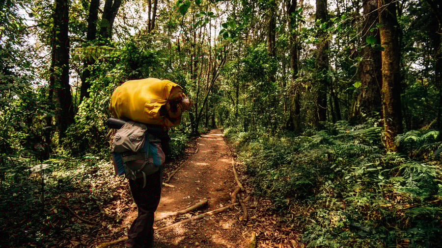 Kilimanjaro, Tanzania