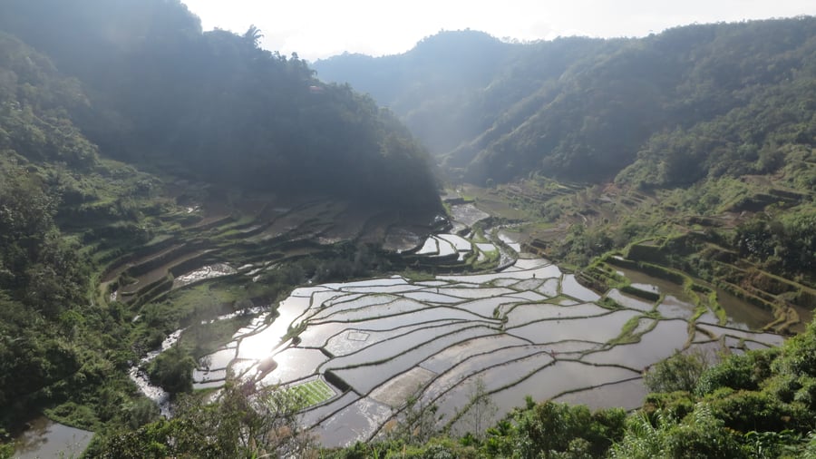 The rice fields of Banaue