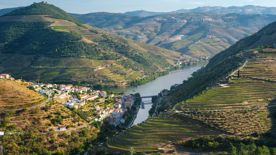 Régua regnes som hovedbyen i Dourodalen