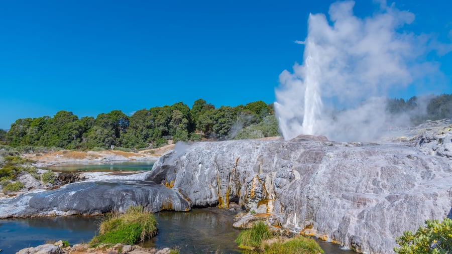 Smukke gejsere i Rotorua, New Zealand