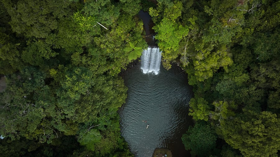 Millaa Millaa Falls i Atherton Tablelands
