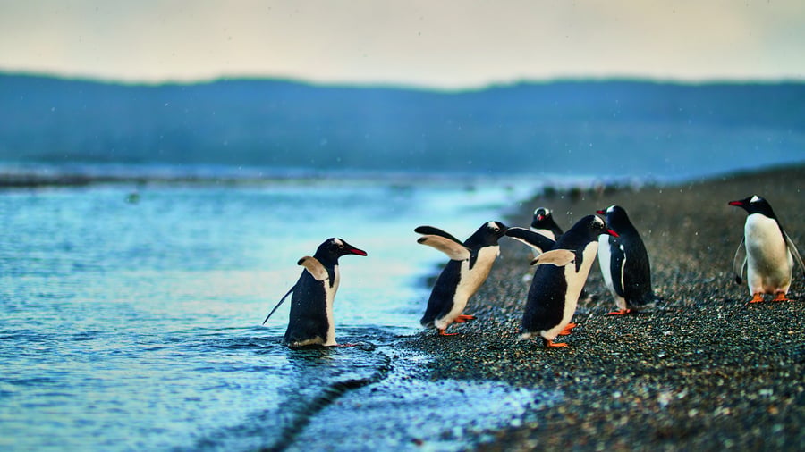Ushuaia