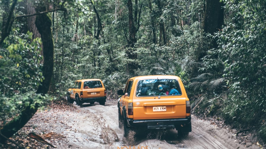 4x4s in K'gari