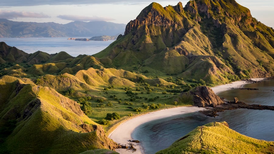 Komodo