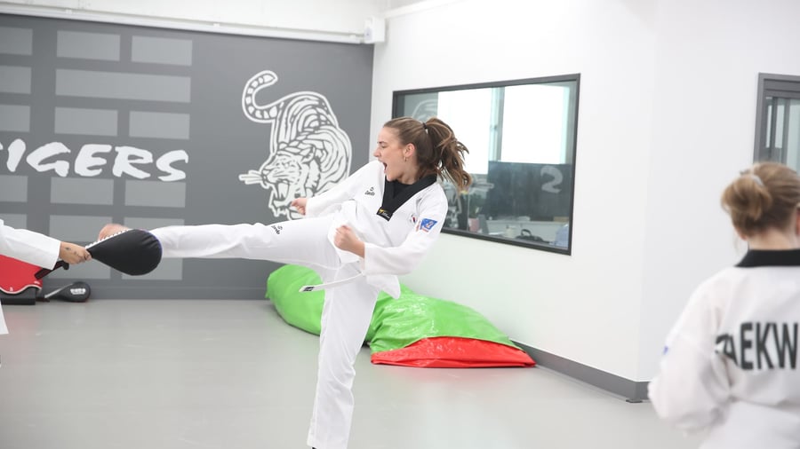 Mastering the Art of Taekwondo