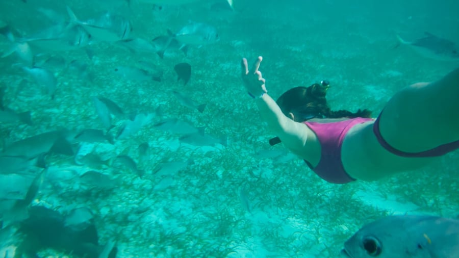 Oplev livet under overfladen i Belize