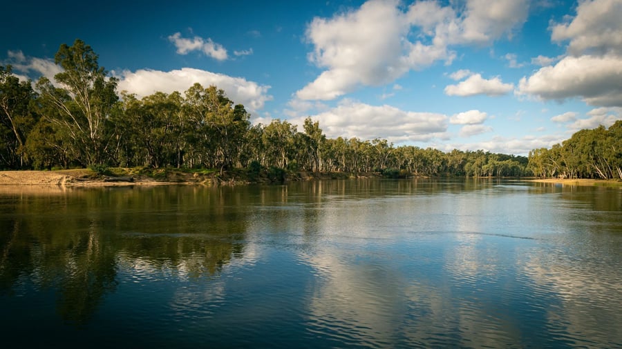 Murray River