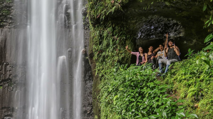 Tamandua waterfall