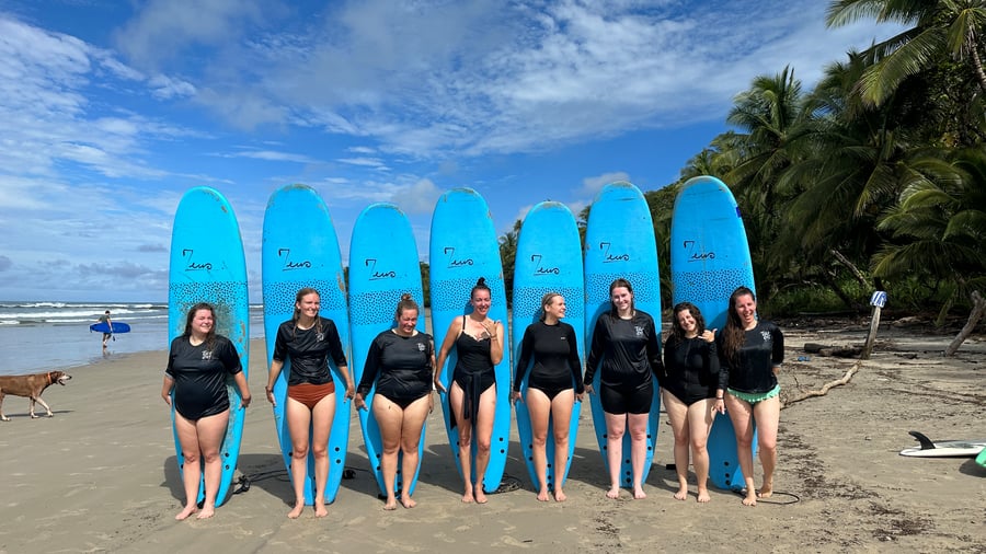 Learn how to surf 