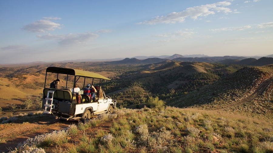 På safari fra Arkaba Homestead