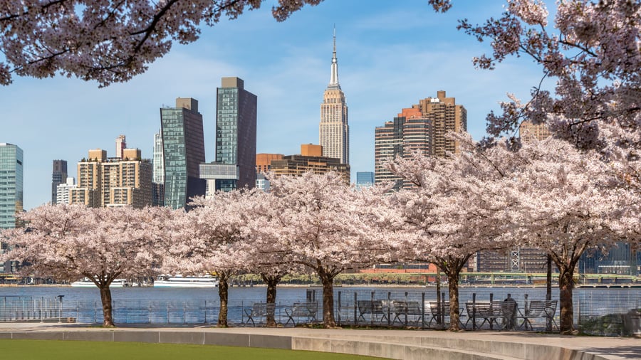 Besøg metropolen New York City