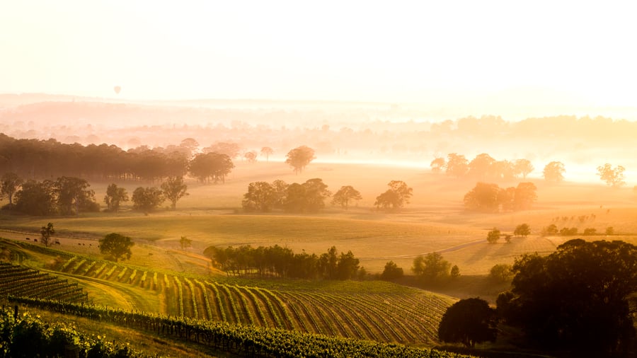 Soluppgång över Hunter Valley