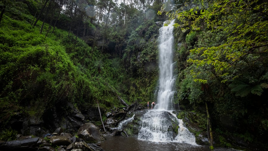 Waterfall in tropical forest