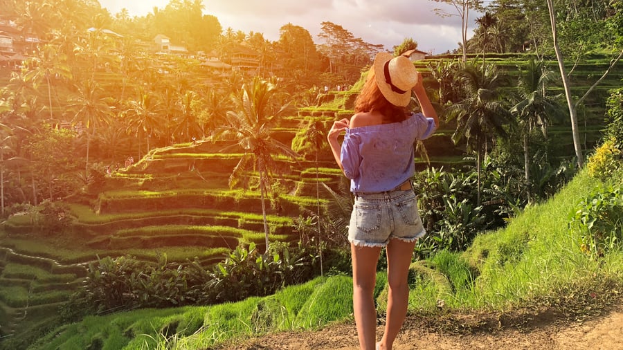 Rismarker på Bali