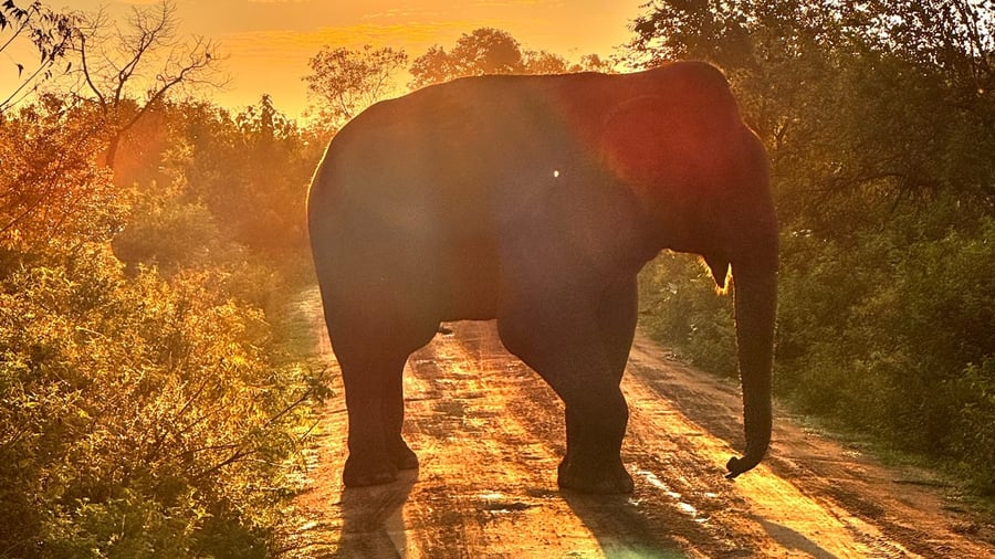 Whenever you go, a beautiful adventure awaits