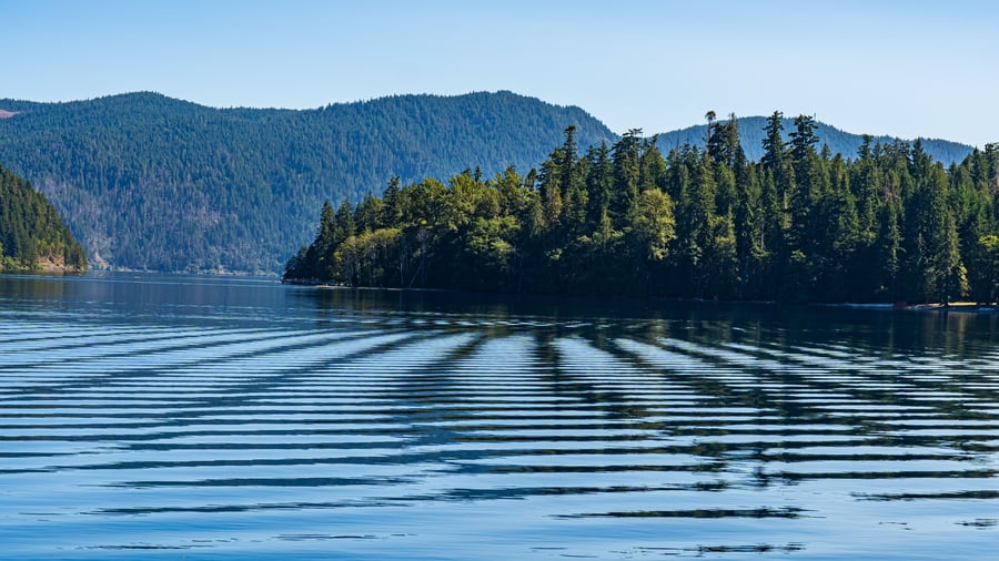 Puget Sound, Washington, USA