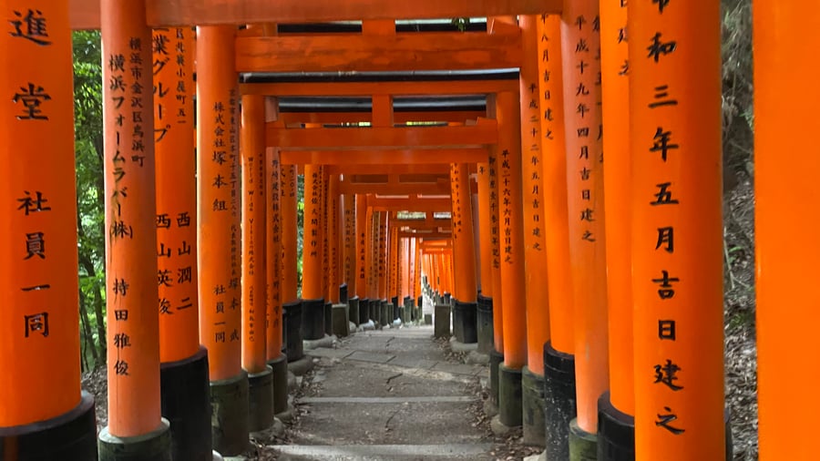 Torii-poorten van de Fushimi Inari Taisha