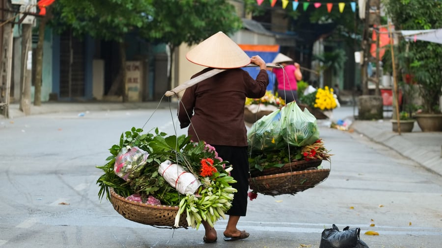 Lokal blomstersælger i Hanoi