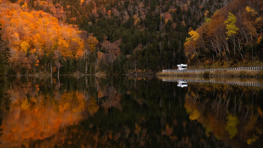 Oplev efterårsfarverne i det østlige Canada