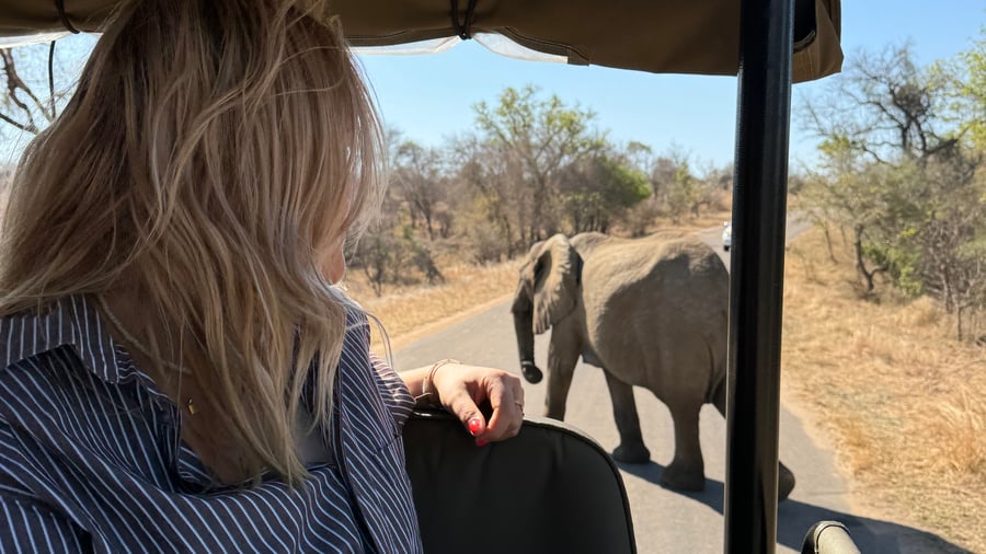 Spot elephants in Addo National Park