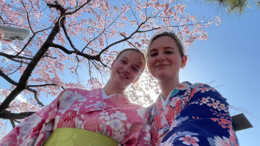 Visit temples in Kyoto.