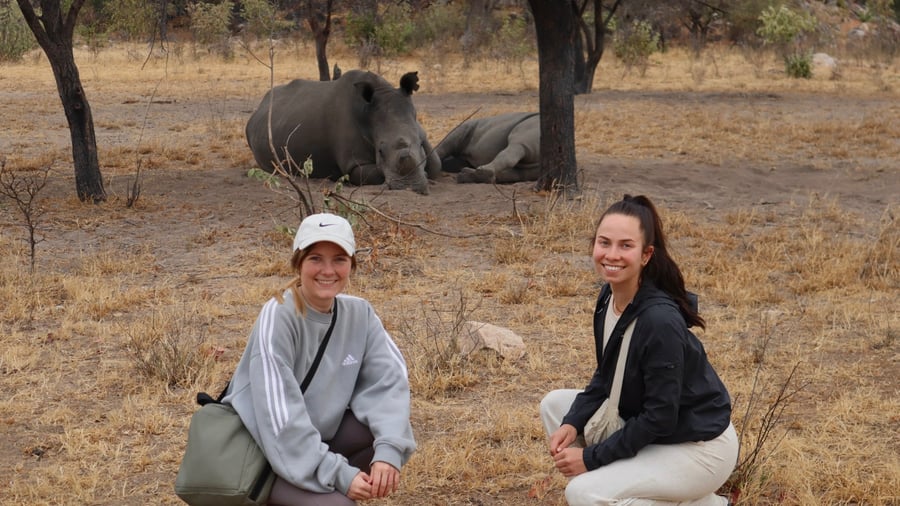 The last safari in Zimbabwe