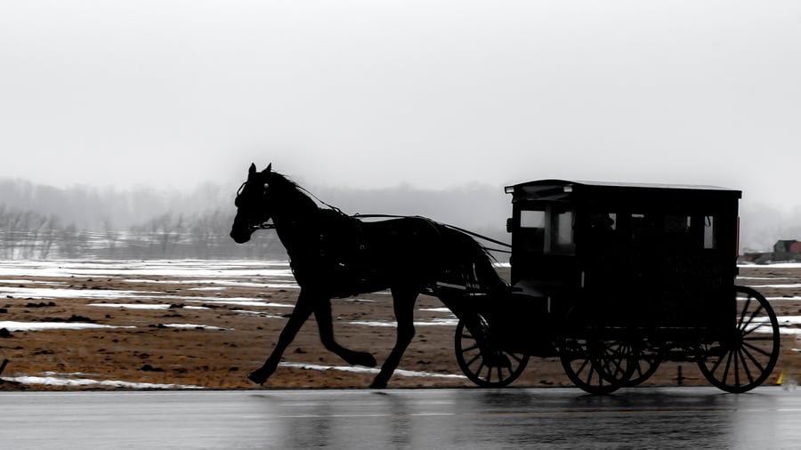 Mennonitter ser du i St. Jacobs, vest for Toronto
