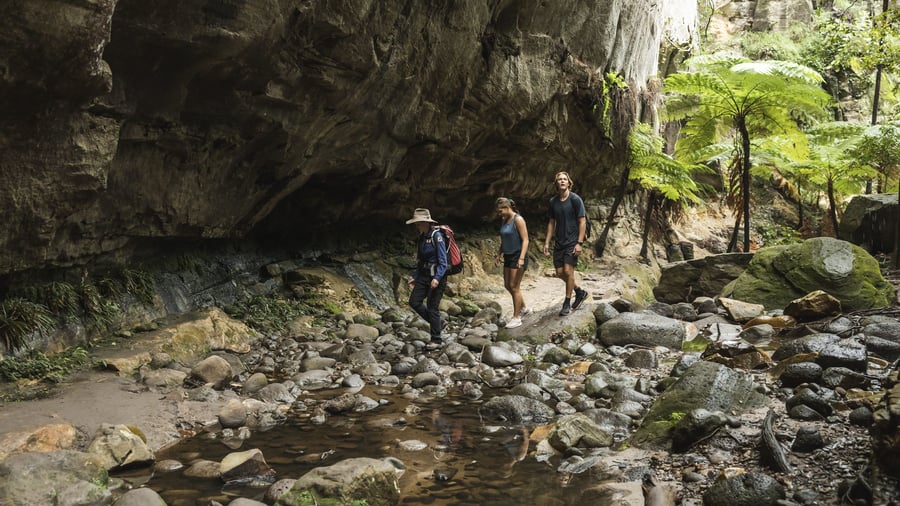 Carnarvon Gorge