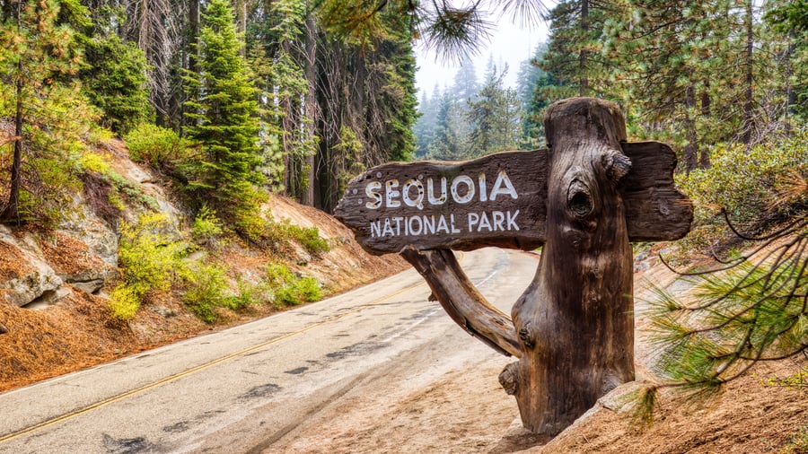 Velkommen til Sequoia National Park