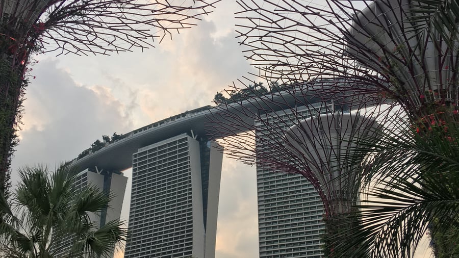 Gardens by the Bay