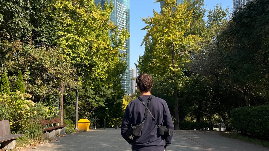 Seoul forest
