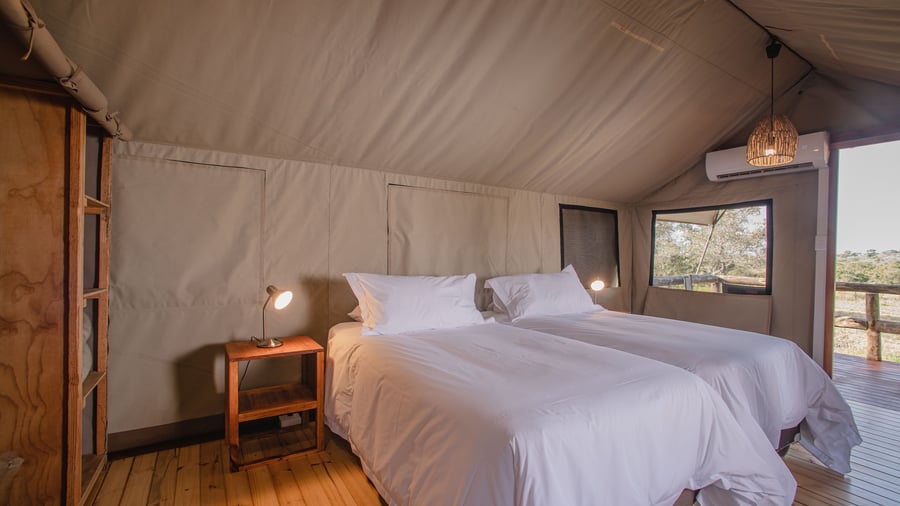 Rummeligt telt på Nkambeni Safari Camp