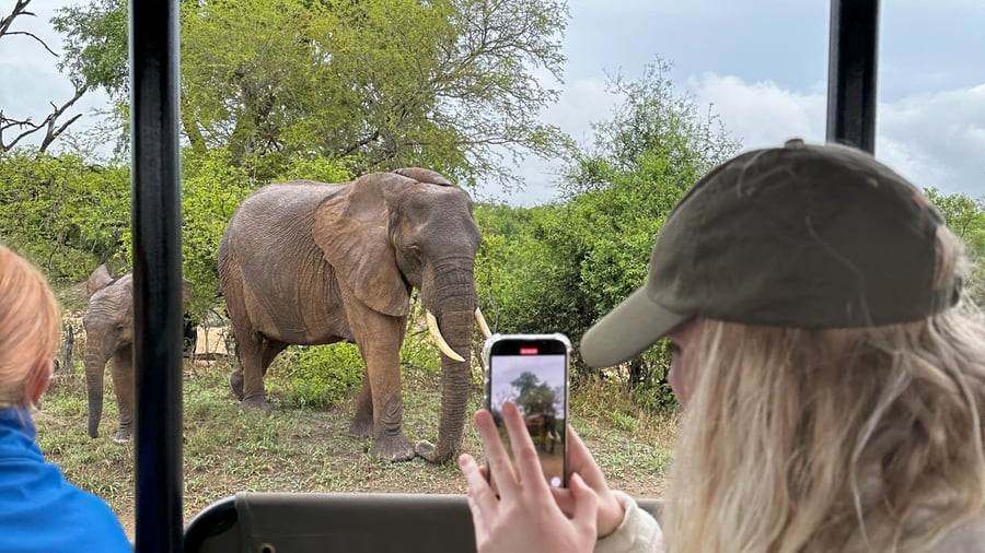 Spotting an elephant in Kruger
