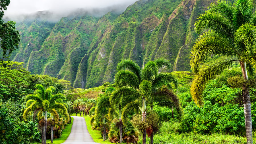 Kör själv genom Hawaiis spektakulära landskap