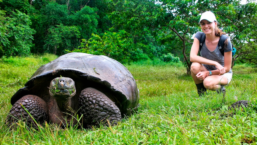 See the giant turtles in the natural habitat. 