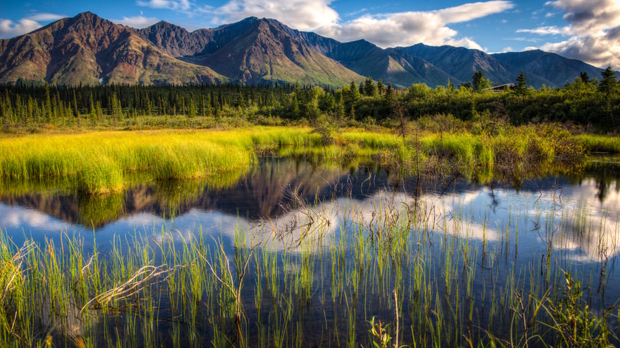 Landskab ved Denali National Park, Alaska