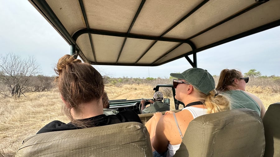 Spot wildlife with your guide