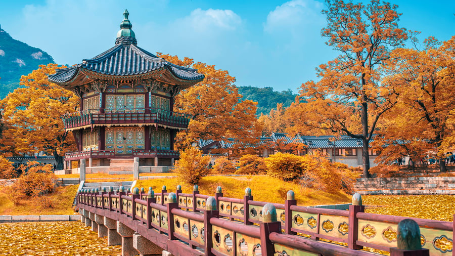 Höstfärger vid Gyeongbokgung-palatset i Seoul