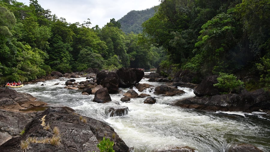 Cairns