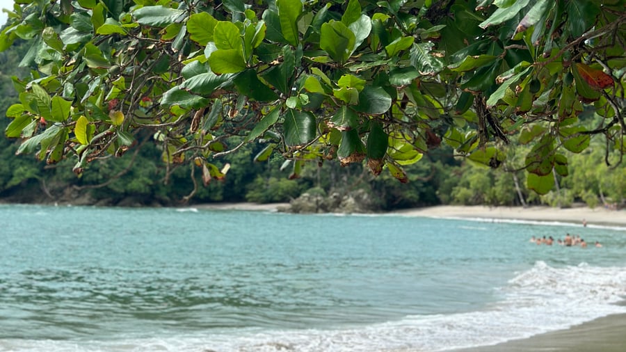 One of the many beautiful beaches in Costa Rica