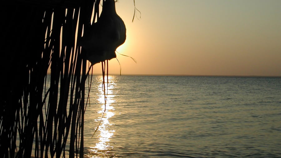 Learn about the tropical seasons