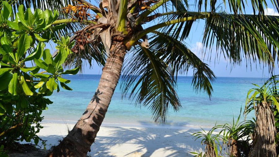 Enjoy free time on Thulusdhoo island