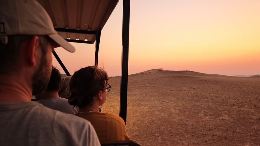 Sunset safari