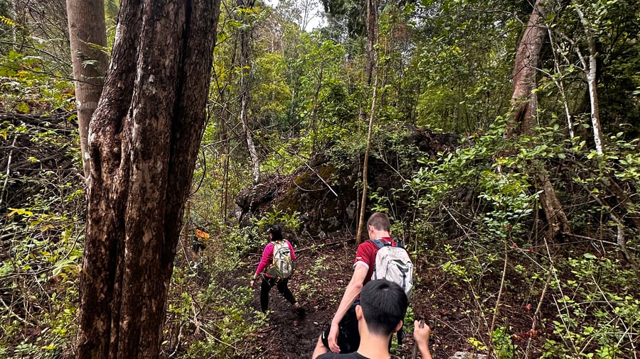 Hike through the jungle